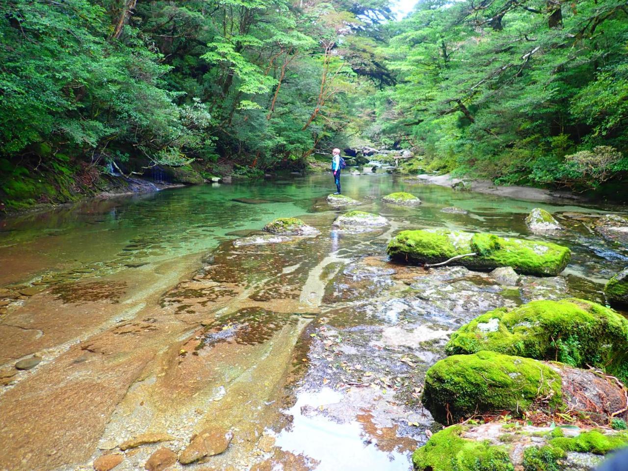 Yakushima Cottage Morino Fairy All Cotage With Open-Air Bath Экстерьер фото